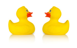 Rubber ducks facing one another